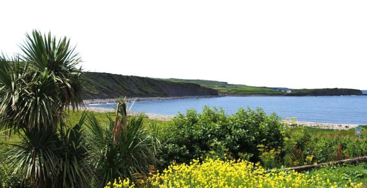 Wild Atlantic Lodge Bed & Breakfast Lahinch Exterior foto
